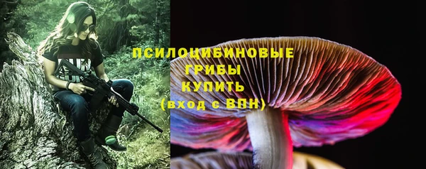 молекула духа Надым