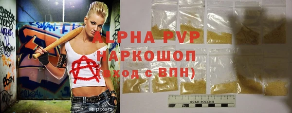 молекула духа Надым