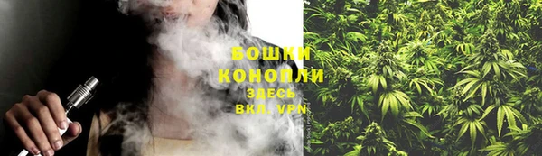молекула духа Надым