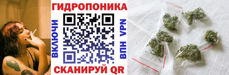 Бошки Шишки марихуана  купить наркоту  Власиха 